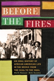 Capa do artigo Before The Fires
