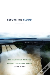 Capa do artigo Before The Flood