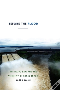 Capa do artigo Before The Flood