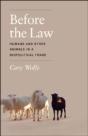 Before The Law - Preview