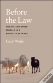Capa do artigo Before The Law