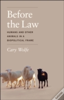 Capa do artigo Before The Law