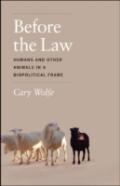 Before The Law