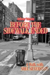 Before The Sidewalk Ended