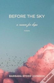Capa do artigo Before The Sky
