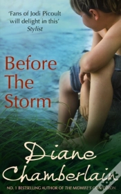 Capa do artigo Before The Storm