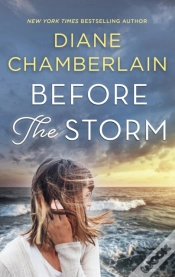 Capa do artigo Before The Storm