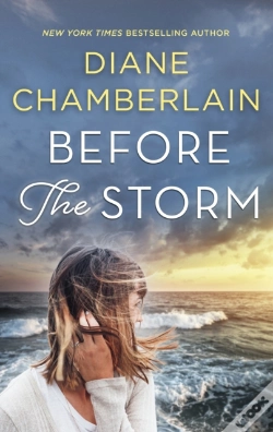 Capa do artigo Before The Storm