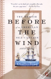 Capa do artigo Before The Wind
