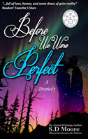 Before We Were Perfect - Preview