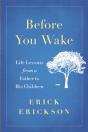 Before You Wake - Preview