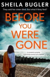 Capa do artigo Before You Were Gone