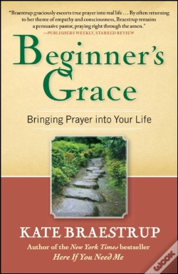 Capa do artigo Beginner'S Grace