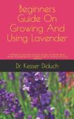 Beginners Guide On Growing And Using  Lavender