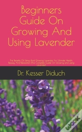 Beginners Guide On Growing And Using  Lavender