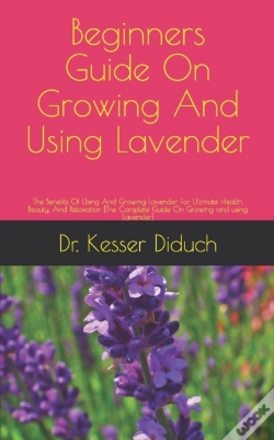Capa do artigo Beginners Guide On Growing And Using  Lavender