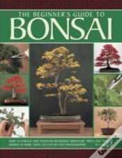 Capa do artigo Beginner
