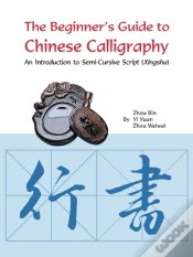 Capa do artigo Beginner