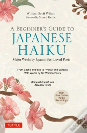 Capa do artigo Beginner