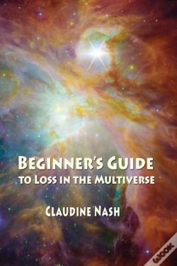 Capa do artigo Beginner'S Guide To Loss In The Multiverse