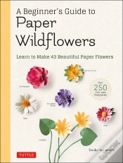 Capa do artigo Beginner