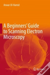 Capa do artigo Beginners