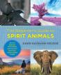 Beginner'S Guide To Spirit Animals - Preview