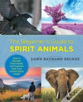 Beginner'S Guide To Spirit Animals
