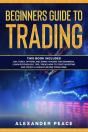 Beginners Guide To Trading - Preview