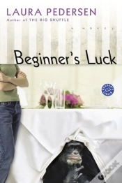 Capa do artigo Beginner