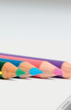 Capa do artigo Beginner'S Notebook