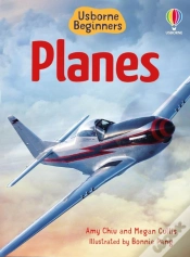 Capa do artigo Beginners Planes