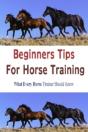 Beginners Tips For Horse Training - Preview
