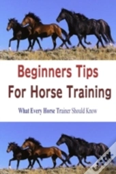Beginners Tips For Horse Training