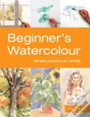 Capa do artigo Beginner