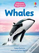 Beginners Whales