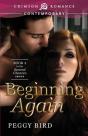 Beginning Again - Preview