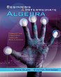 Beginning And Intermediate Algebra - Preview
