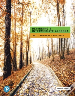 Capa do artigo Beginning & Intermediate Algebra