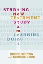 Beginning New Testament Study - Preview