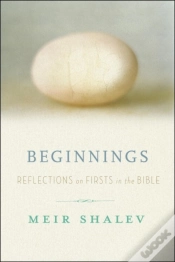 Capa do artigo Beginnings