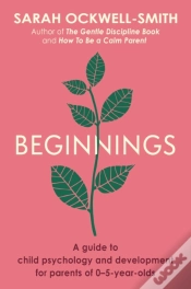 Capa do artigo Beginnings