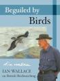 Beguiled By Birds - Preview