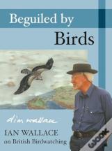 Beguiled By Birds