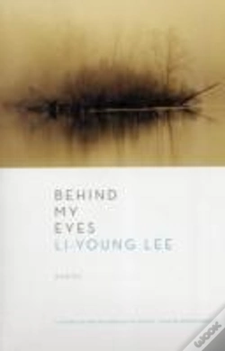 Capa do artigo Behind My Eyes