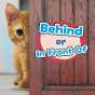 Behind Or In Front Of - Preview