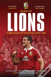 Capa do artigo Behind The Lions