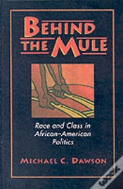 Capa do artigo Behind The Mule