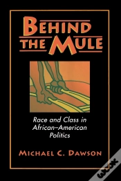 Capa do artigo Behind The Mule