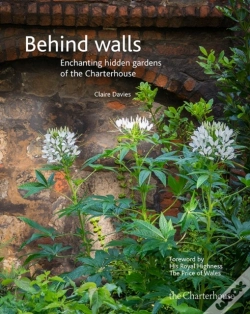 Capa do artigo Behind Walls